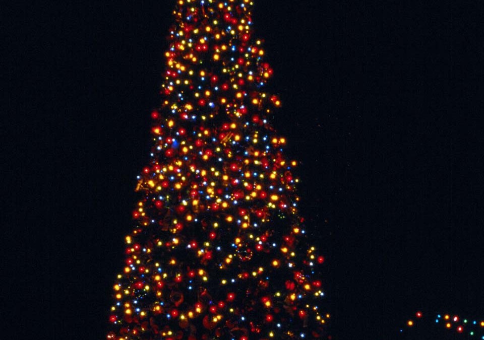 Top 3 des destinations pour les fêtes de fin d’année