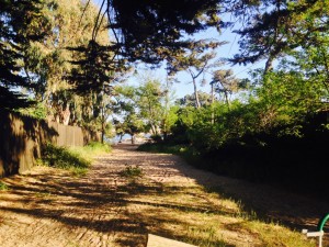 44-hectare-chemin-ensoleillé