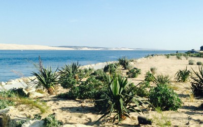 Voyage au Cap Ferret : presqu’ île reposante riche en découvertes