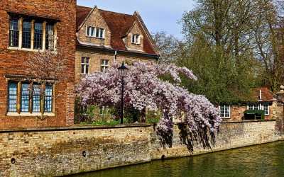 Le guide suprême pour la visite de Cambridge 