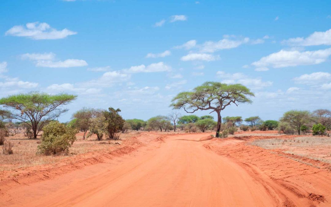 Les pays africains les moins chers où vivre sous les cocotiers