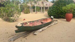 Plage de Hopkins