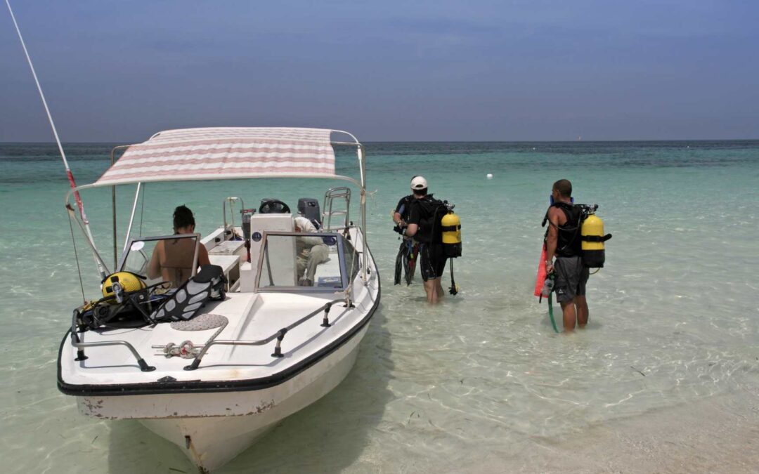 Plongée dans les Caraïbes : les meilleurs spots