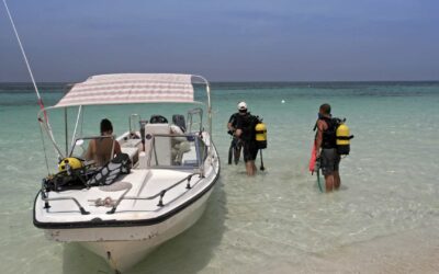 Plongée dans les Caraïbes : les meilleurs spots