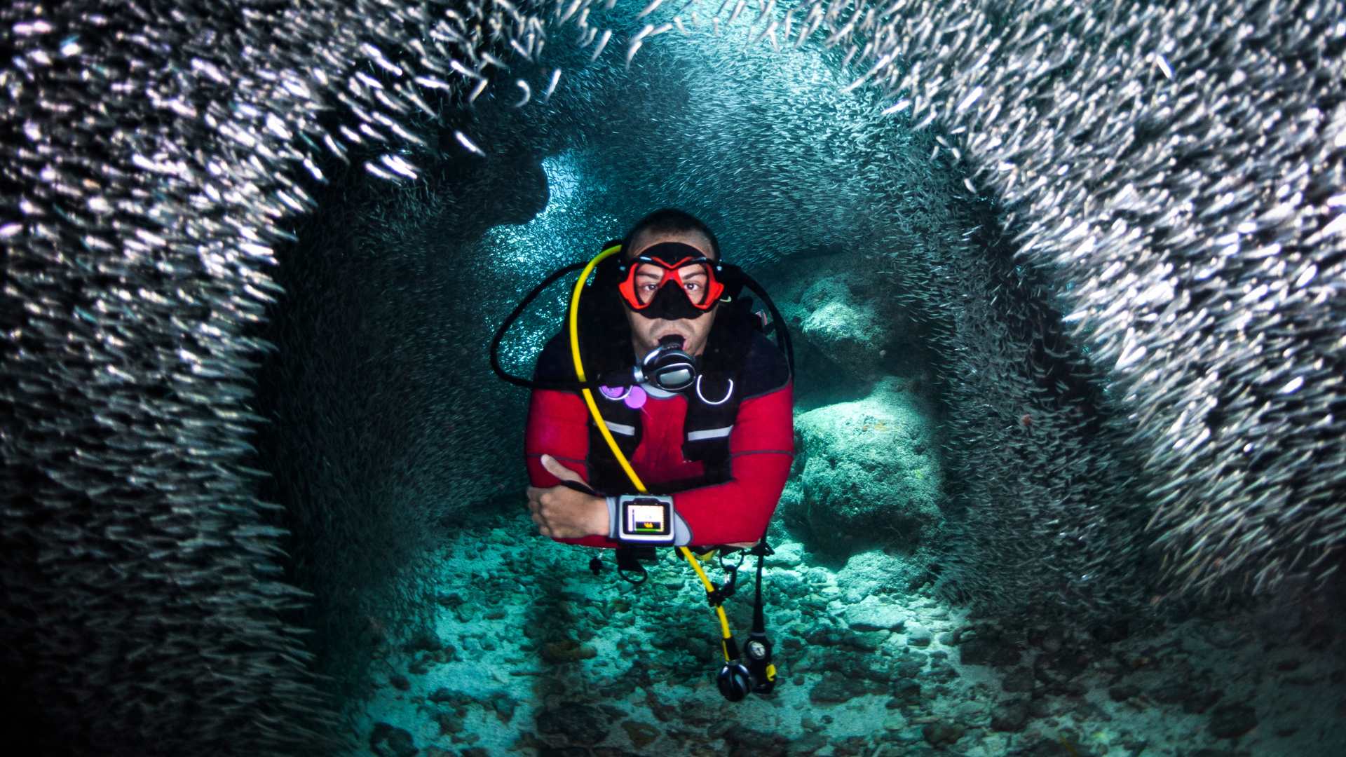 Plongée sous-marine