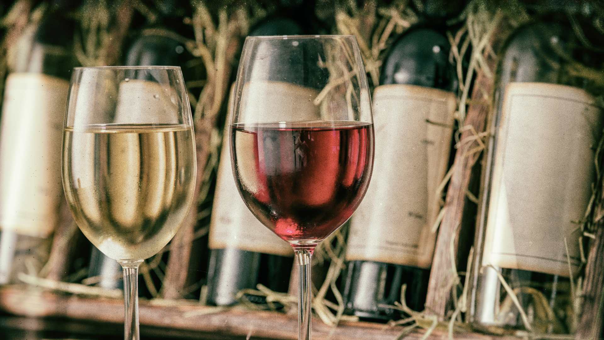 Vins d'Amérique du Sud