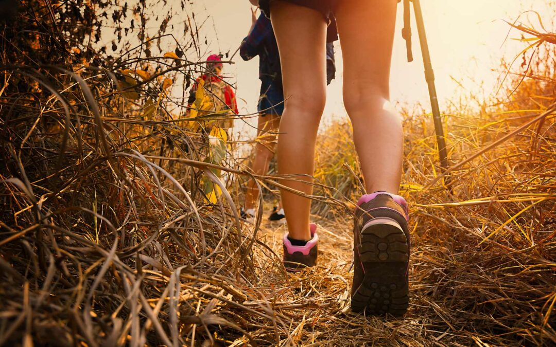 Les meilleures routes de randonnée en Europe