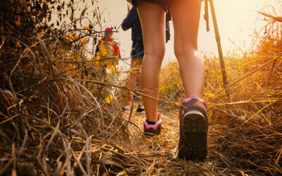 Les meilleures routes de randonnée en Europe